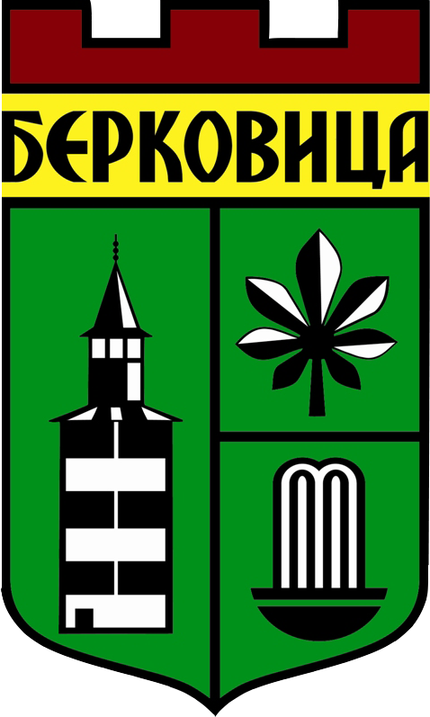 Община Берковица